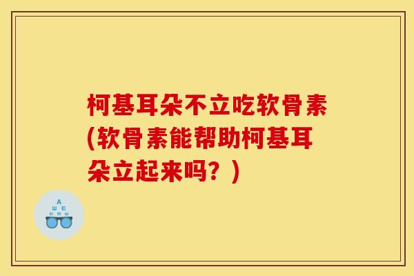柯基耳朵不立吃软骨素(软骨素能帮助柯基耳朵立起来吗?) 柯基耳朵不立吃软骨素(软骨素能帮助柯基耳朵立起来吗?)