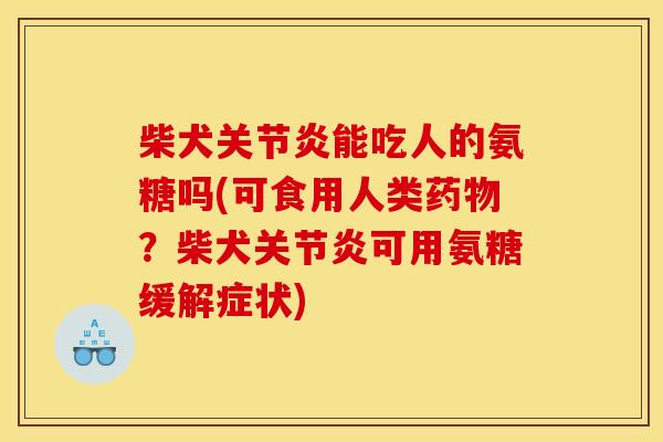 柴犬能吃人的氨糖吗(可食用人类？柴犬可用氨糖缓解症状)