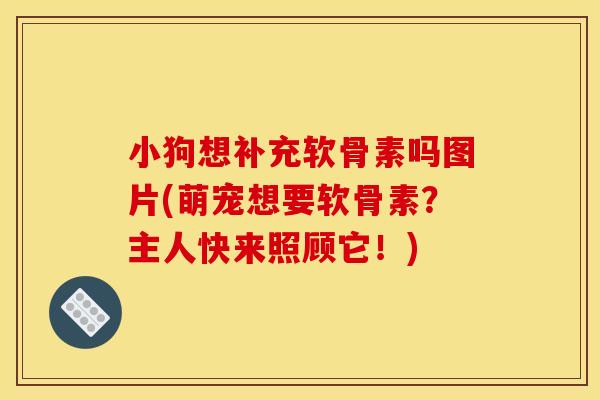 小狗想补充软骨素吗图片(萌宠想要软骨素？主人快来照顾它！)