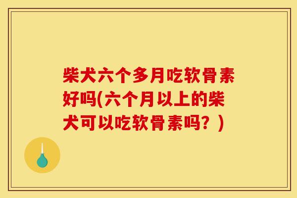 柴犬六个多月吃软骨素好吗(六个月以上的柴犬可以吃软骨素吗？)