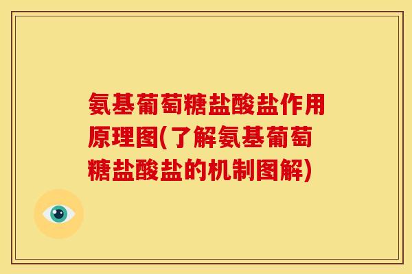 氨基葡萄糖盐酸盐作用原理图(了解氨基葡萄糖盐酸盐的机制图解)