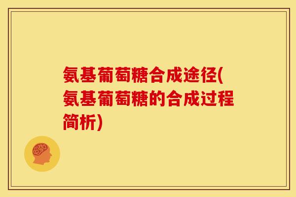氨基葡萄糖合成途径(氨基葡萄糖的合成过程简析)