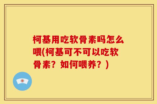 柯基用吃软骨素吗怎么喂(柯基可不可以吃软骨素？如何喂养？)