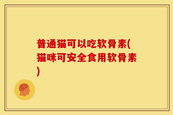 普通猫可以吃软骨素(猫咪可安全食用软骨素)