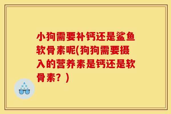 小狗需要补钙还是鲨鱼软骨素呢(狗狗需要摄入的营养素是钙还是软骨素？)