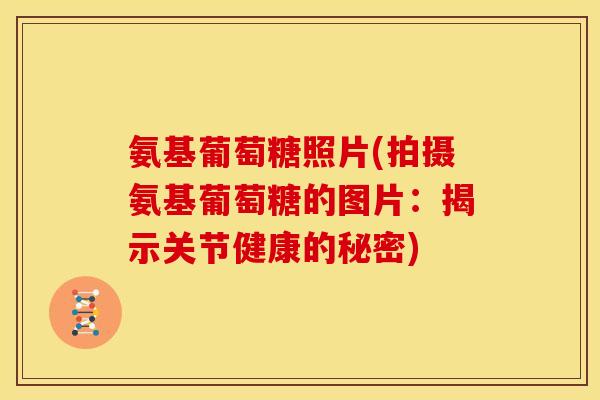 氨基葡萄糖照片(拍摄氨基葡萄糖的图片:揭示关节健康的秘密) 氨基葡萄糖照片(拍摄氨基葡萄糖的图片:揭示关节健康的秘密)