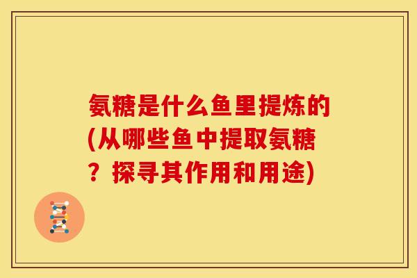 氨糖是什么鱼里提炼的(从哪些鱼中提取氨糖？探寻其作用和用途)