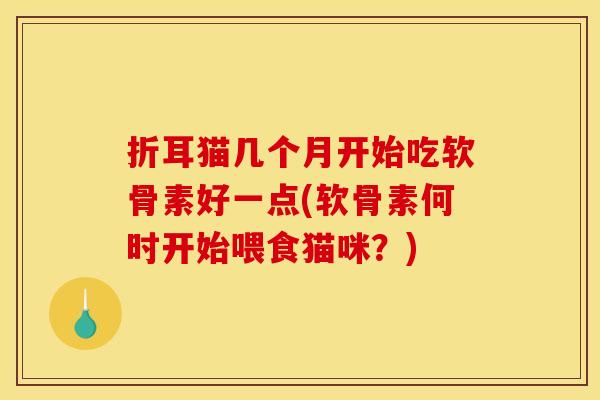 折耳猫几个月开始吃软骨素好一点(软骨素何时开始喂食猫咪？)