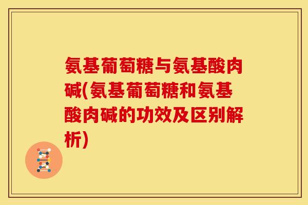 氨基葡萄糖与氨基酸肉碱(氨基葡萄糖和氨基酸肉碱的功效及区别解析)