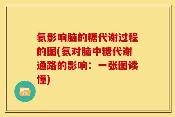 氨影响脑的糖代谢过程的图(氨对脑中糖代谢通路的影响：一张图读懂)