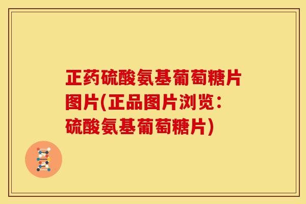正药硫酸氨基葡萄糖片图片(正品图片浏览：硫酸氨基葡萄糖片)