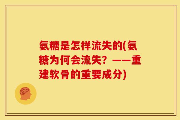 氨糖是怎样流失的(氨糖为何会流失?——重建软骨的重要成分) 氨糖是怎样流失的(氨糖为何会流失?——重建软骨的重要成分)