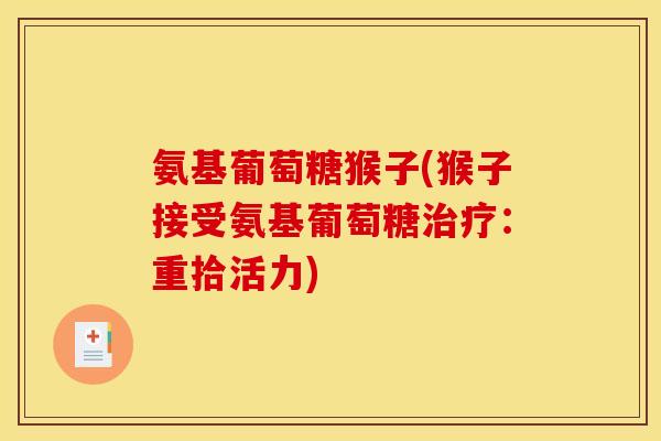 氨基葡萄糖猴子(猴子接受氨基葡萄糖治疗：重拾活力)