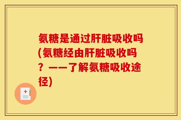 氨糖是通过肝脏吸收吗(氨糖经由肝脏吸收吗？——了解氨糖吸收途径)