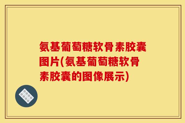 氨基葡萄糖软骨素胶囊图片(氨基葡萄糖软骨素胶囊的图像展示)