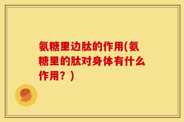 氨糖里边肽的作用(氨糖里的肽对身体有什么作用？)