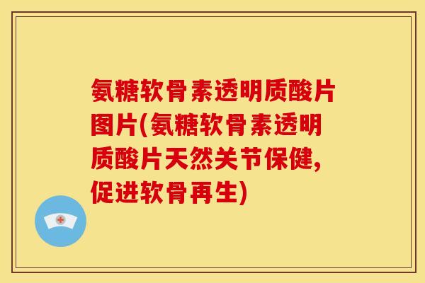 氨糖软骨素透明质酸片图片(氨糖软骨素透明质酸片天然关节保健,促进软骨再生)