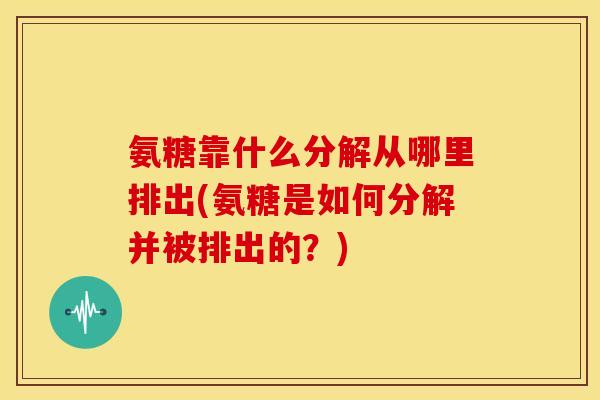 氨糖靠什么分解从哪里排出(氨糖是如何分解并被排出的？)