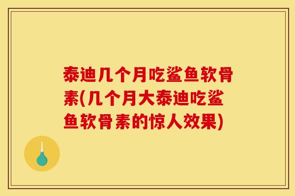 泰迪几个月吃鲨鱼软骨素(几个月大泰迪吃鲨鱼软骨素的惊人效果)