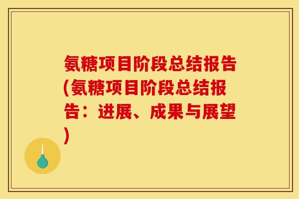 氨糖项目阶段总结报告(氨糖项目阶段总结报告：进展、成果与展望)