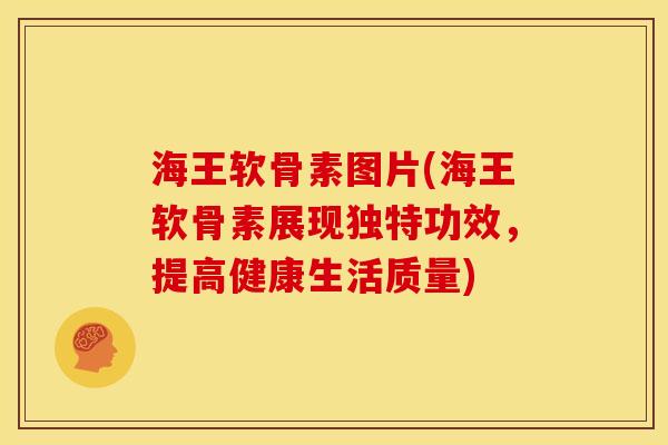 海王软骨素图片(海王软骨素展现独特功效，提高健康生活质量)