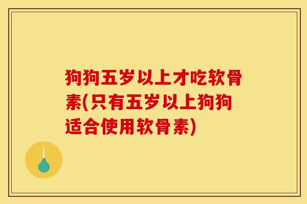 狗狗五岁以上才吃软骨素(只有五岁以上狗狗适合使用软骨素)