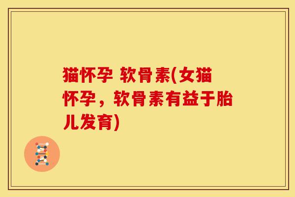 猫怀孕 软骨素(女猫怀孕，软骨素有益于胎儿发育)