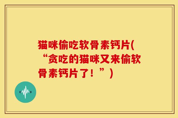 猫咪偷吃软骨素钙片(“贪吃的猫咪又来偷软骨素钙片了！”)