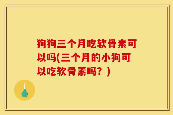 狗狗三个月吃软骨素可以吗(三个月的小狗可以吃软骨素吗？)