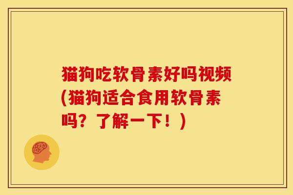 猫狗吃软骨素好吗视频(猫狗适合食用软骨素吗？了解一下！)