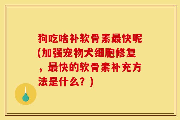 狗吃啥补软骨素最快呢(加强宠物犬细胞修复，最快的软骨素补充方法是什么？)