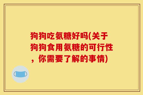 狗狗吃氨糖好吗(关于狗狗食用氨糖的可行性，你需要了解的事情)