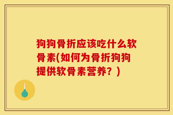 狗狗骨折应该吃什么软骨素(如何为骨折狗狗提供软骨素营养？)