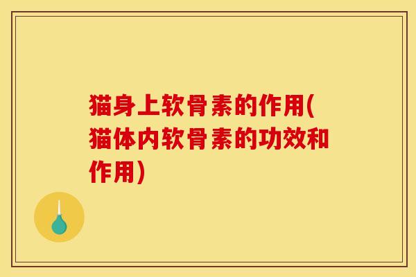 猫身上软骨素的作用(猫体内软骨素的功效和作用)