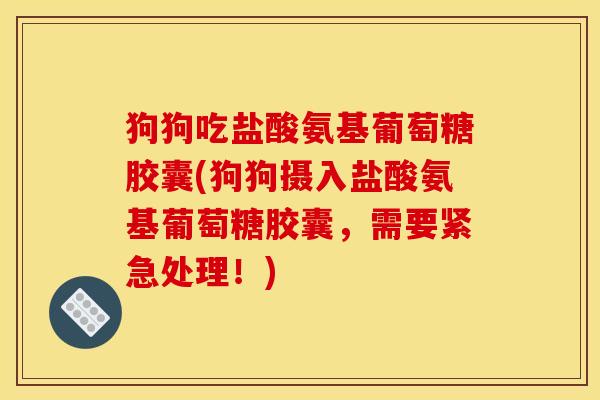 狗狗吃盐酸氨基葡萄糖胶囊(狗狗摄入盐酸氨基葡萄糖胶囊，需要紧急处理！)