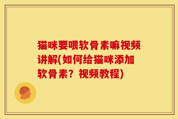 猫咪要喂软骨素嘛视频讲解(如何给猫咪添加软骨素？视频教程)