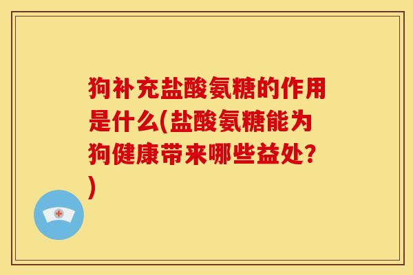 狗补充盐酸氨糖的作用是什么(盐酸氨糖能为狗健康带来哪些益处？)