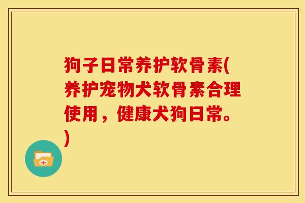 狗子日常养护软骨素(养护宠物犬软骨素合理使用，健康犬狗日常。)