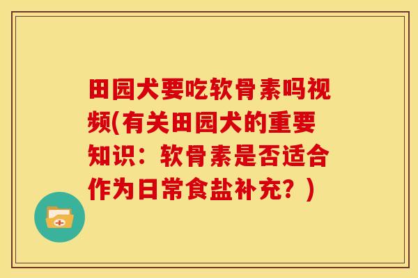 田园犬要吃软骨素吗视频(有关田园犬的重要知识：软骨素是否适合作为日常食盐补充？)