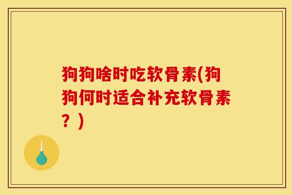狗狗啥时吃软骨素(狗狗何时适合补充软骨素？)