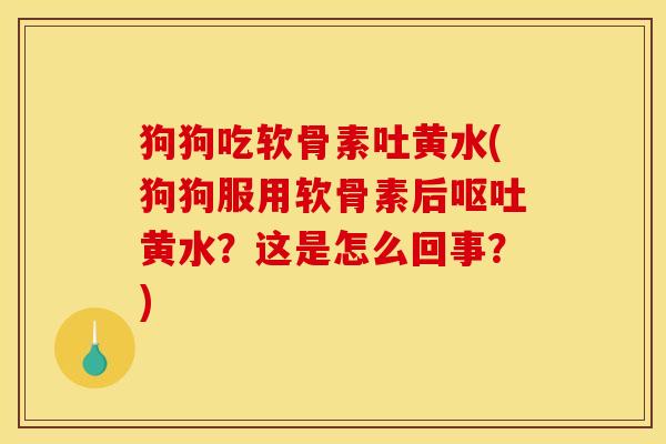 狗狗吃软骨素吐黄水(狗狗服用软骨素后呕吐黄水？这是怎么回事？)