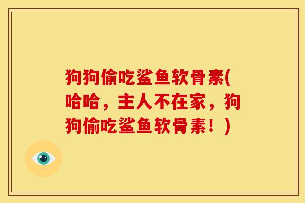 狗狗偷吃鲨鱼软骨素(哈哈，主人不在家，狗狗偷吃鲨鱼软骨素！)