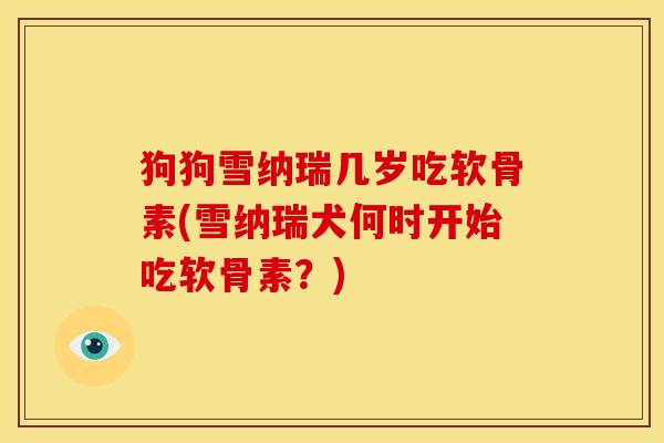 狗狗雪纳瑞几岁吃软骨素(雪纳瑞犬何时开始吃软骨素?) 狗狗雪纳瑞几岁吃软骨素(雪纳瑞犬何时开始吃软骨素?)