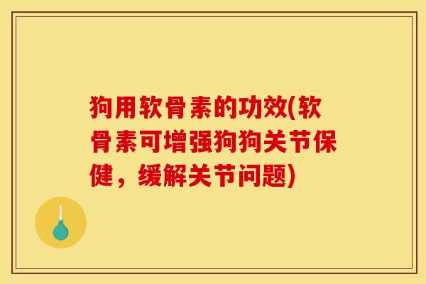 狗用软骨素的功效(软骨素可增强狗狗关节保健，缓解关节问题)