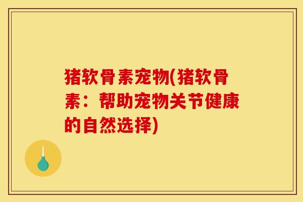 猪软骨素宠物(猪软骨素：帮助宠物关节健康的自然选择)