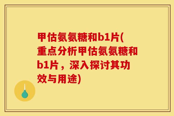 甲估氨氨糖和b1片(重点分析甲估氨氨糖和b1片，深入探讨其功效与用途)