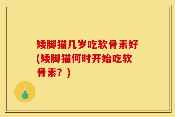 矮脚猫几岁吃软骨素好(矮脚猫何时开始吃软骨素？)