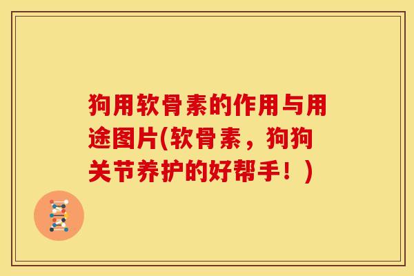 狗用软骨素的作用与用途图片(软骨素，狗狗关节养护的好帮手！)