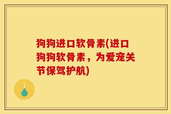狗狗进口软骨素(进口狗狗软骨素，为爱宠关节保驾护航)