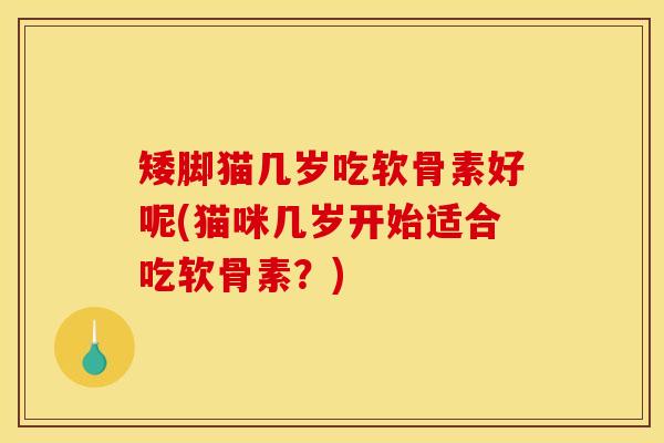 矮脚猫几岁吃软骨素好呢(猫咪几岁开始适合吃软骨素？)